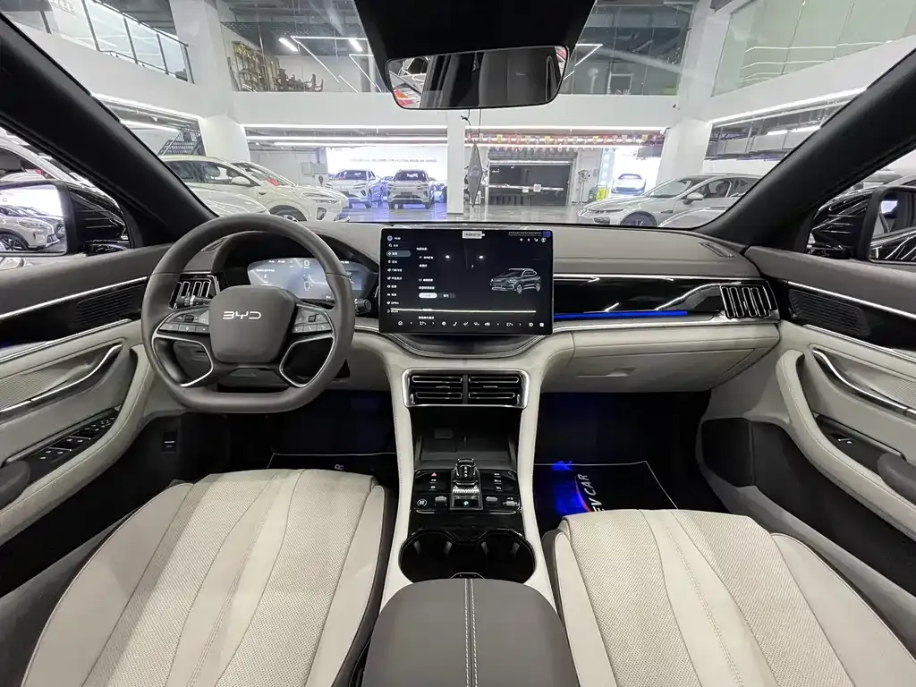 BYD PLUS New Energy — фото 3