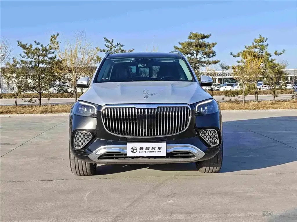 Mercedes-Benz GLS 2024 из CN, фото 2