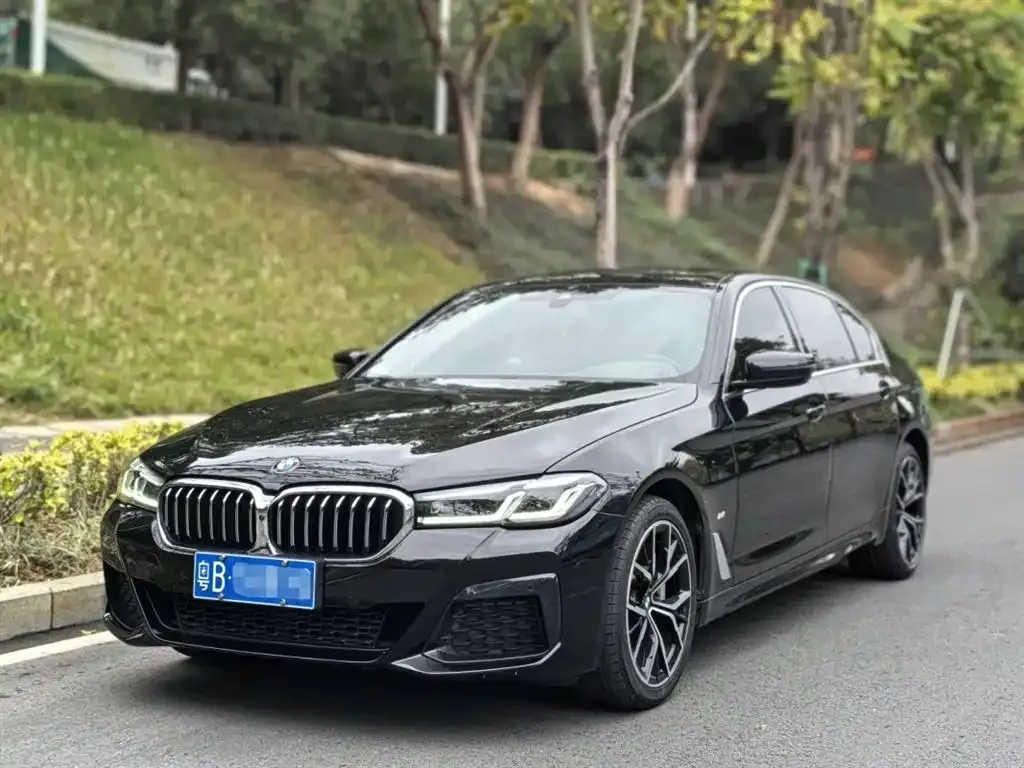 BMW 5 Series 2021 из CN, фото 1