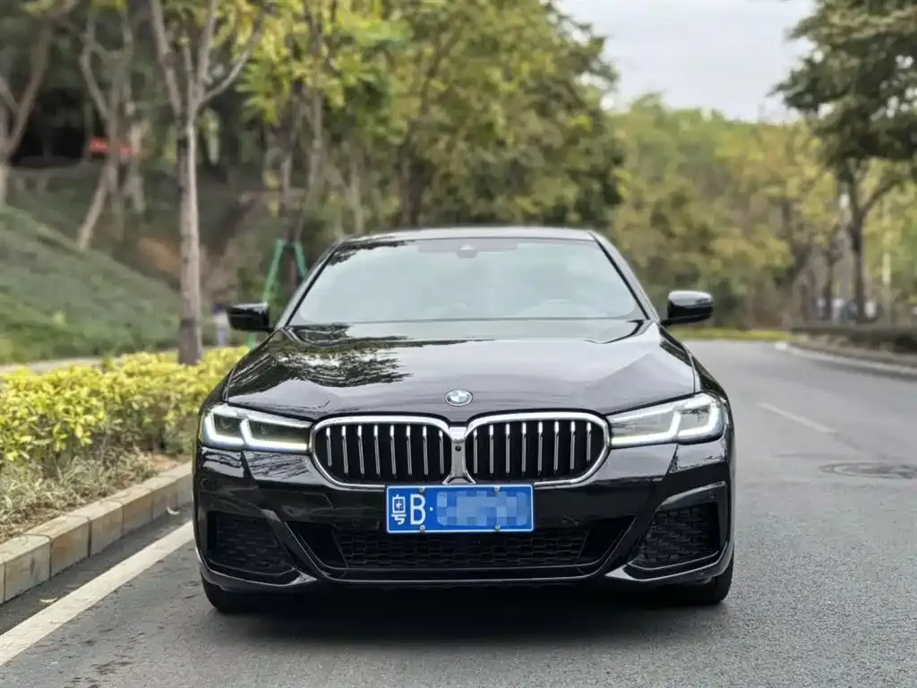 BMW 5 Series 2021 из CN, фото 7