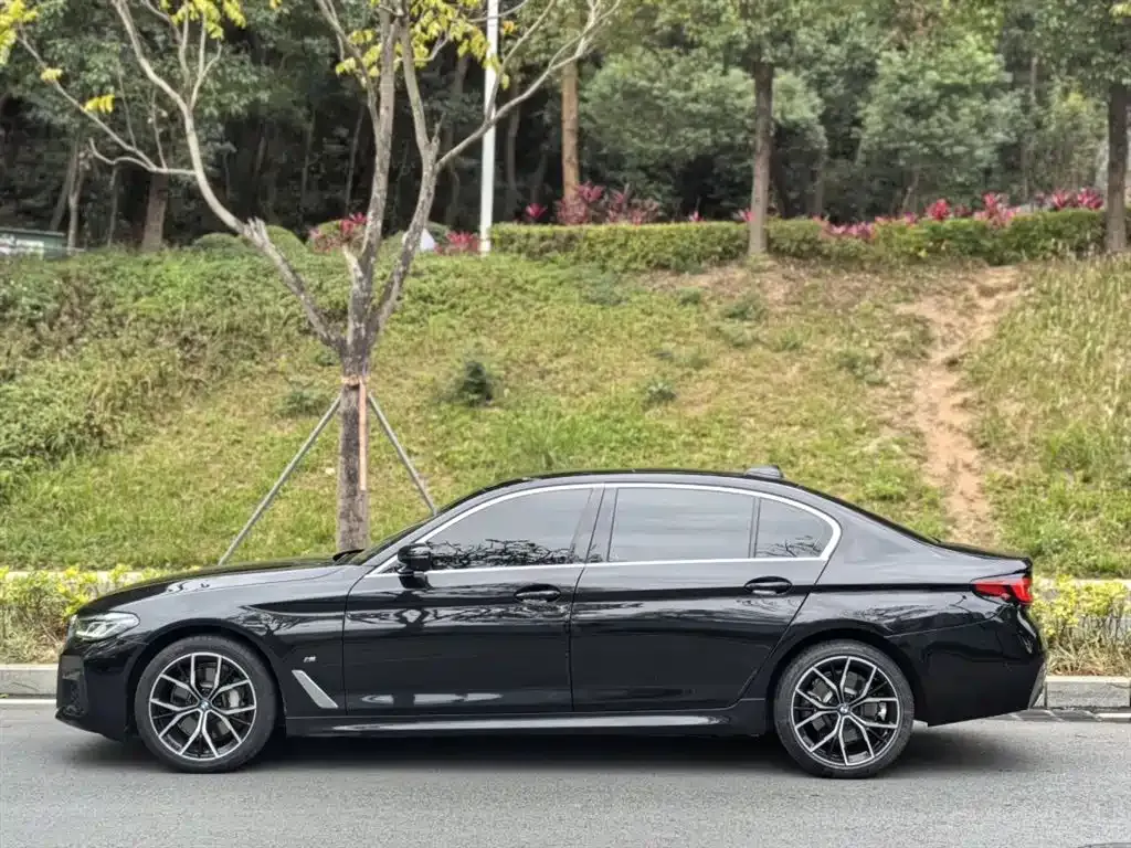 BMW 5 Series 2021 из CN, фото 8