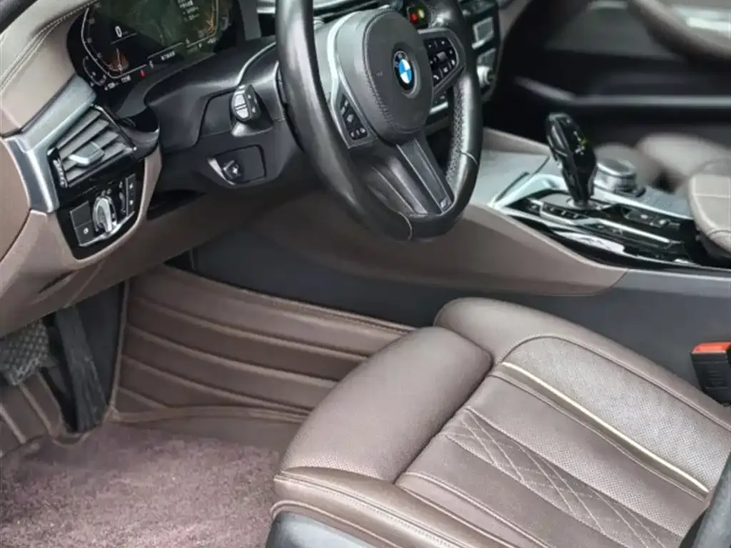 BMW 5 Series 2021 из CN, фото 3