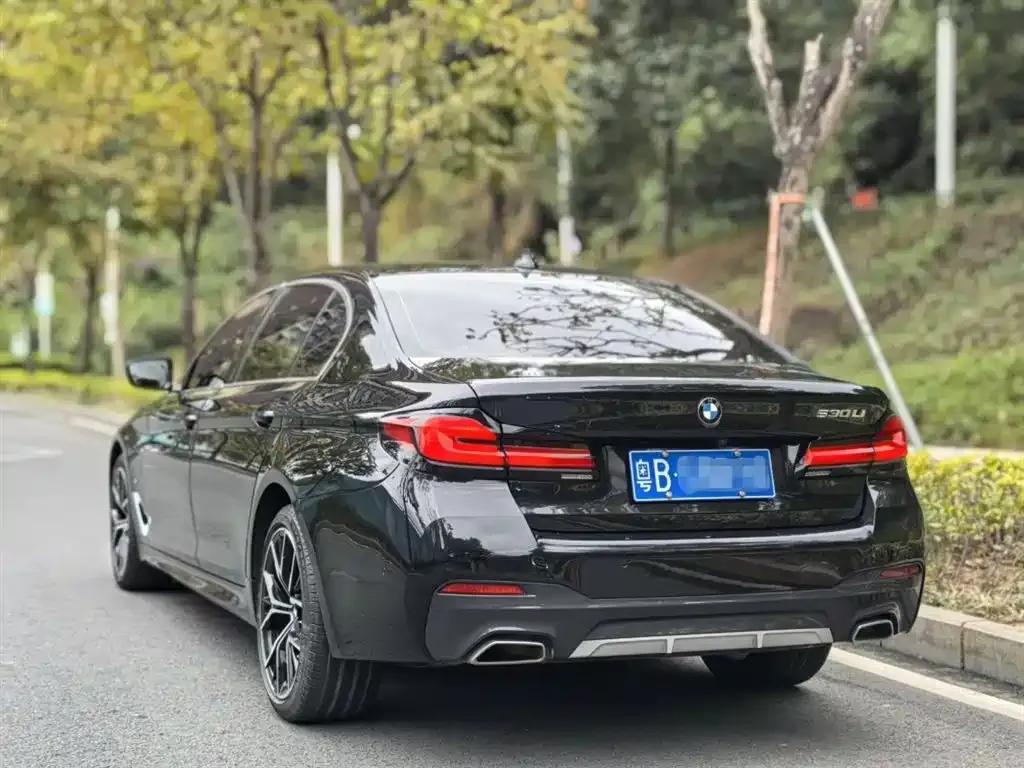 BMW 5 Series 2021 из CN, фото 9