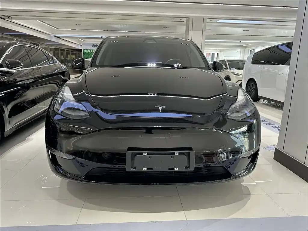 Tesla Model Y — фото 2