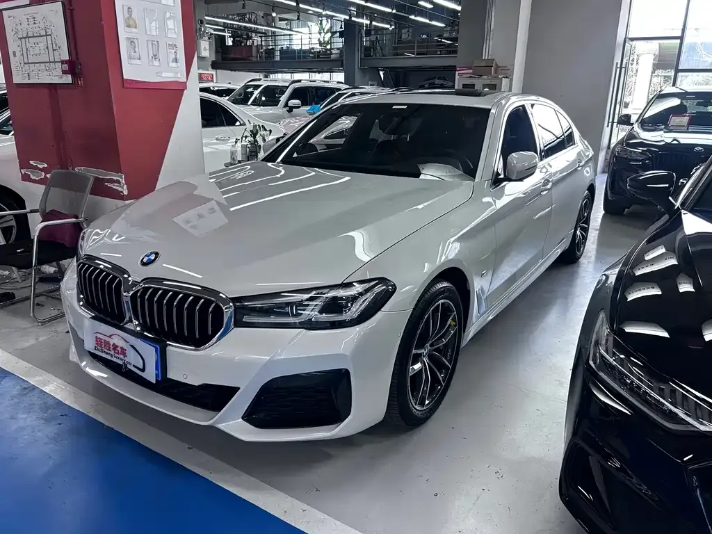 BMW 5 Series 2022 из CN, фото 1