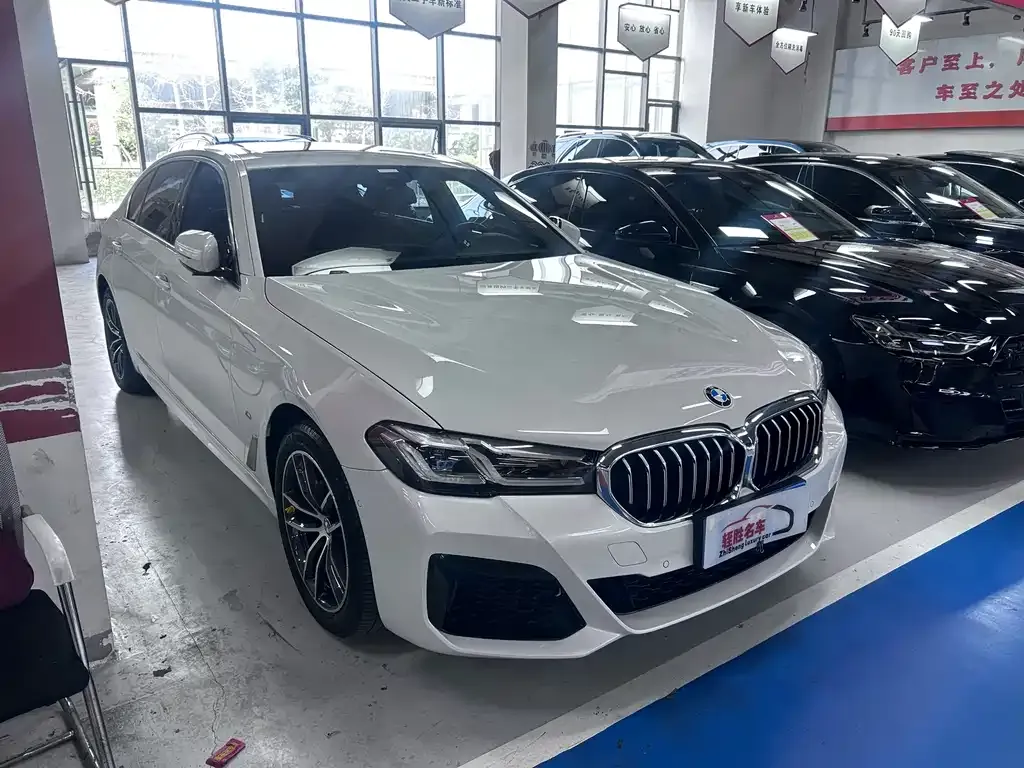 BMW 5 Series 2022 из CN, фото 8
