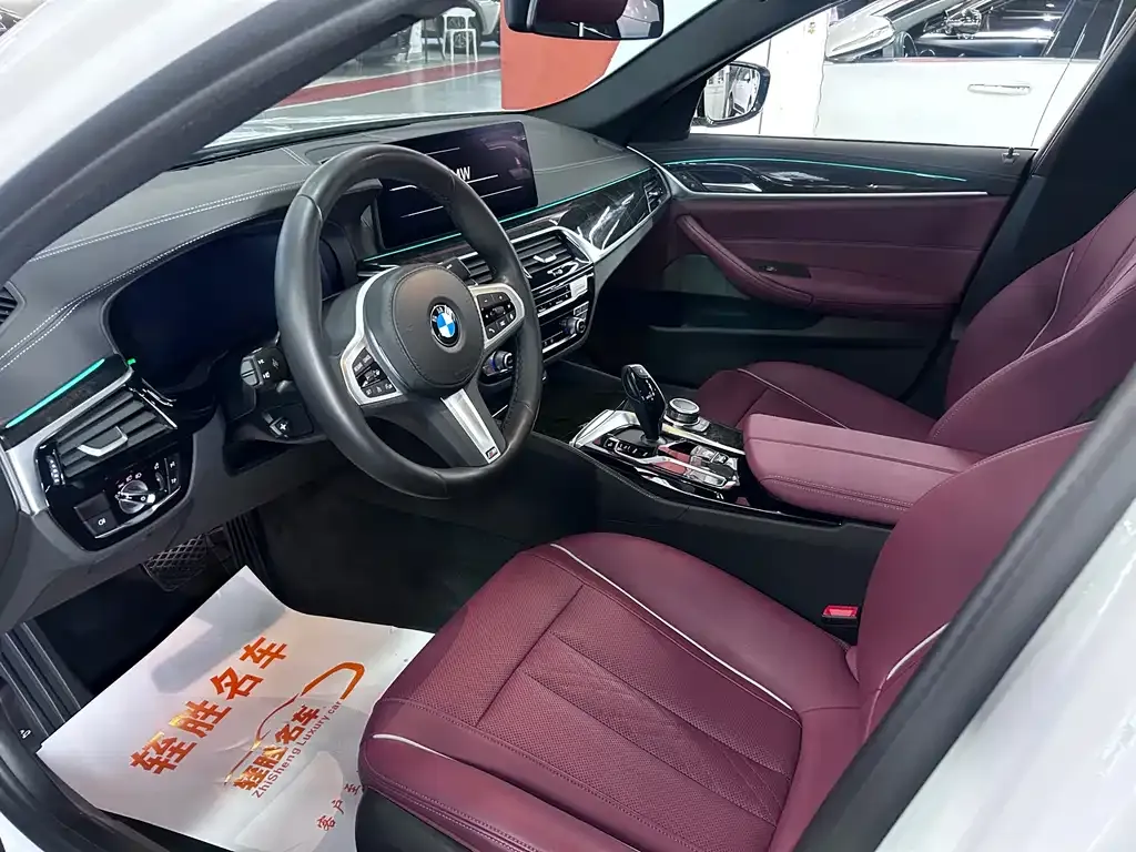 BMW 5 Series 2022 из CN, фото 9
