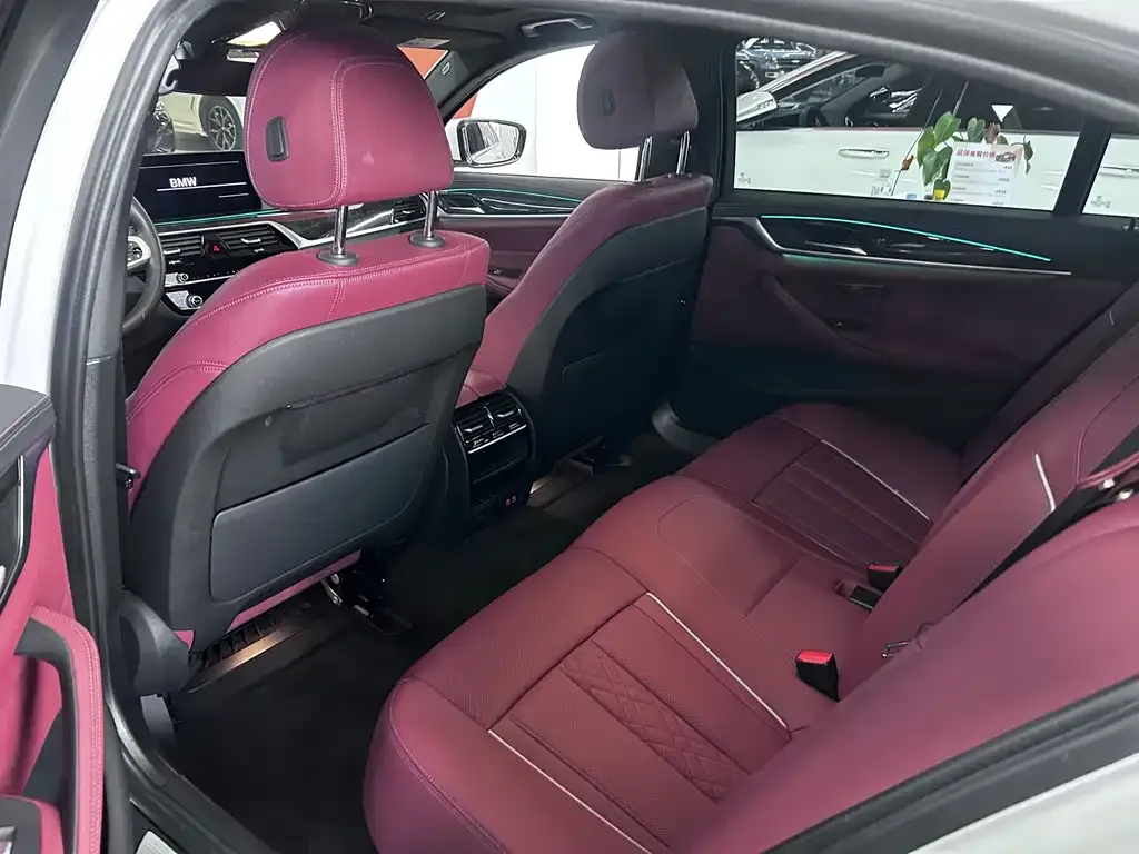 BMW 5 Series 2022 из CN, фото 3