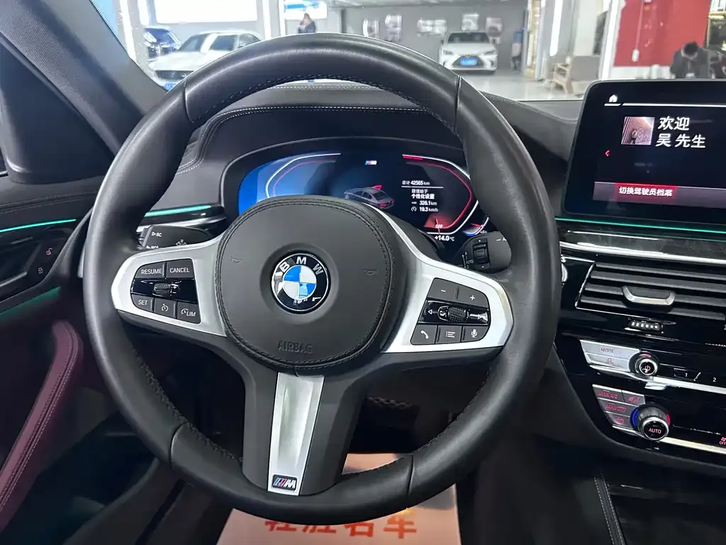 BMW 5 Series 2022 из CN, фото 6