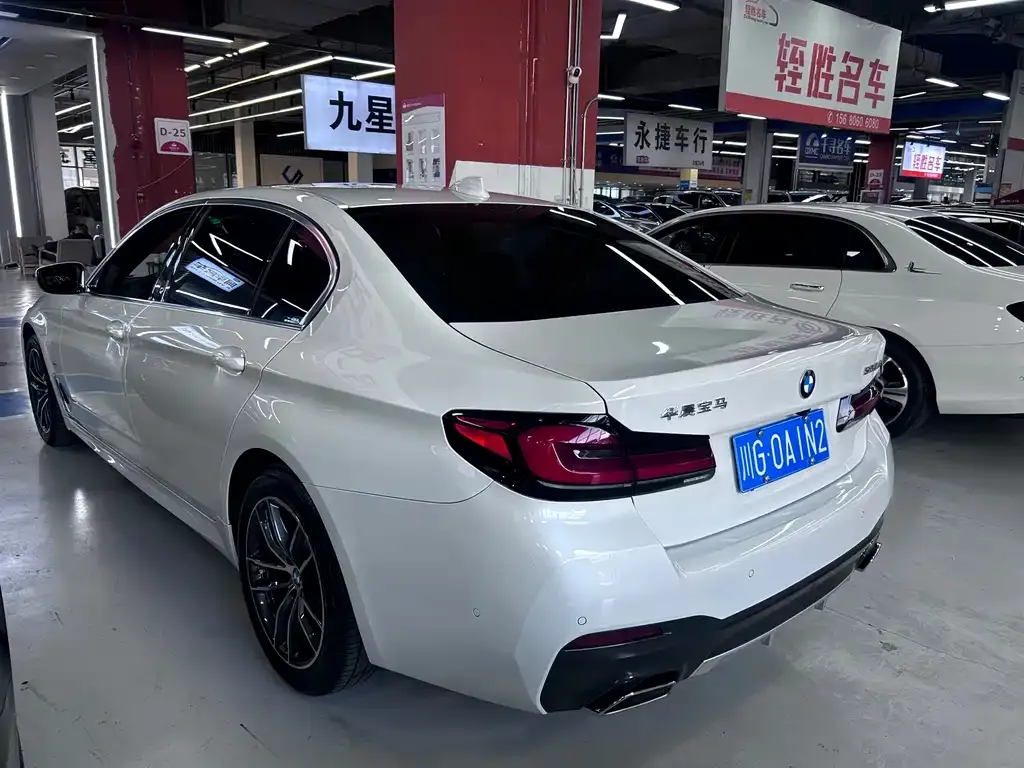 BMW 5 Series 2022 из CN, фото 4