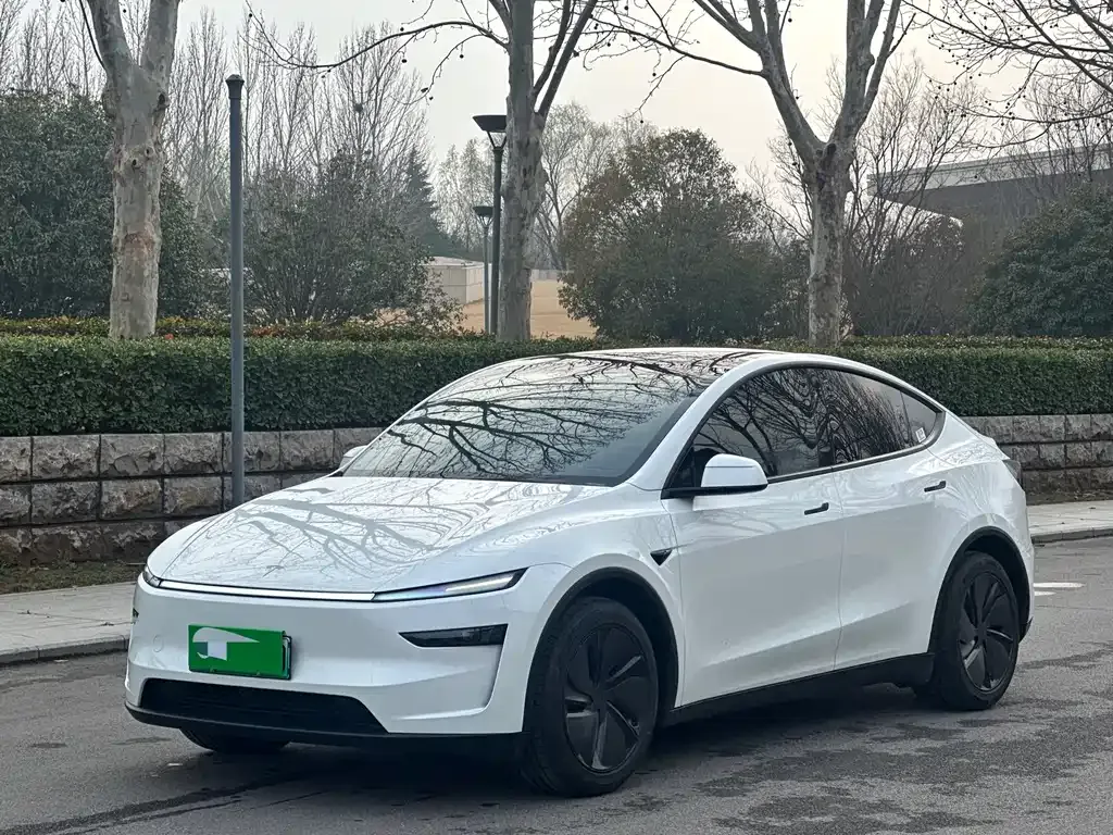 Tesla Model Y 2025 из CN, фото 1