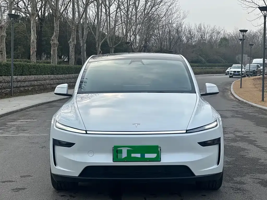 Tesla Model Y 2025 из CN, фото 6