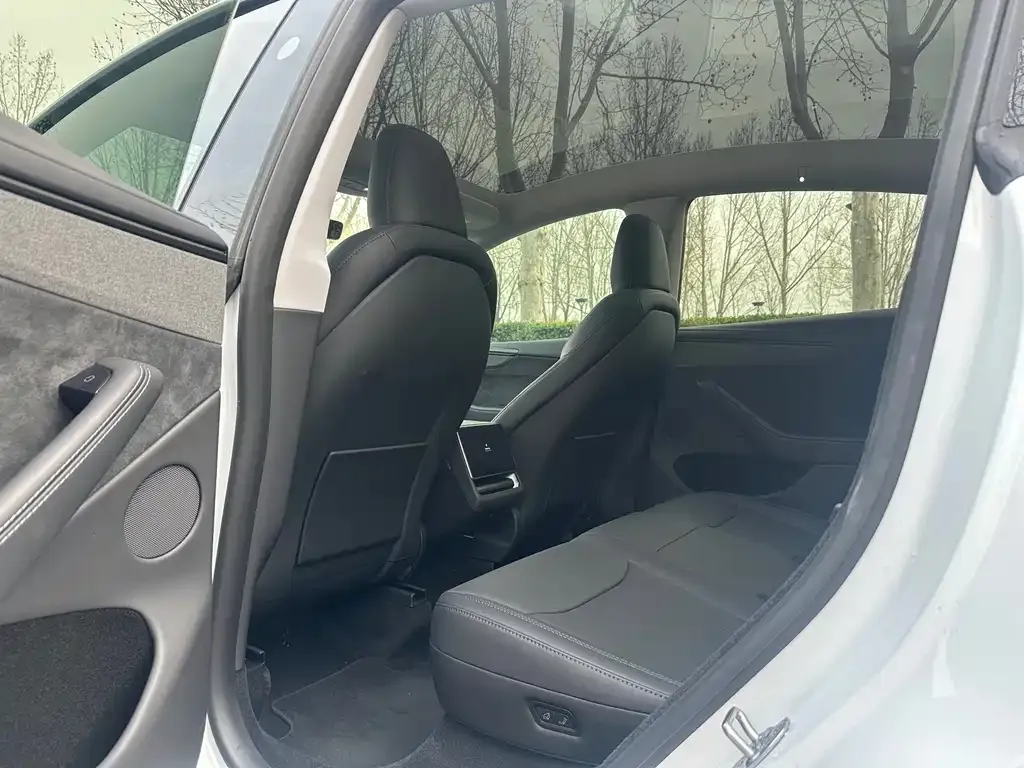 Tesla Model Y 2025 из CN, фото 5