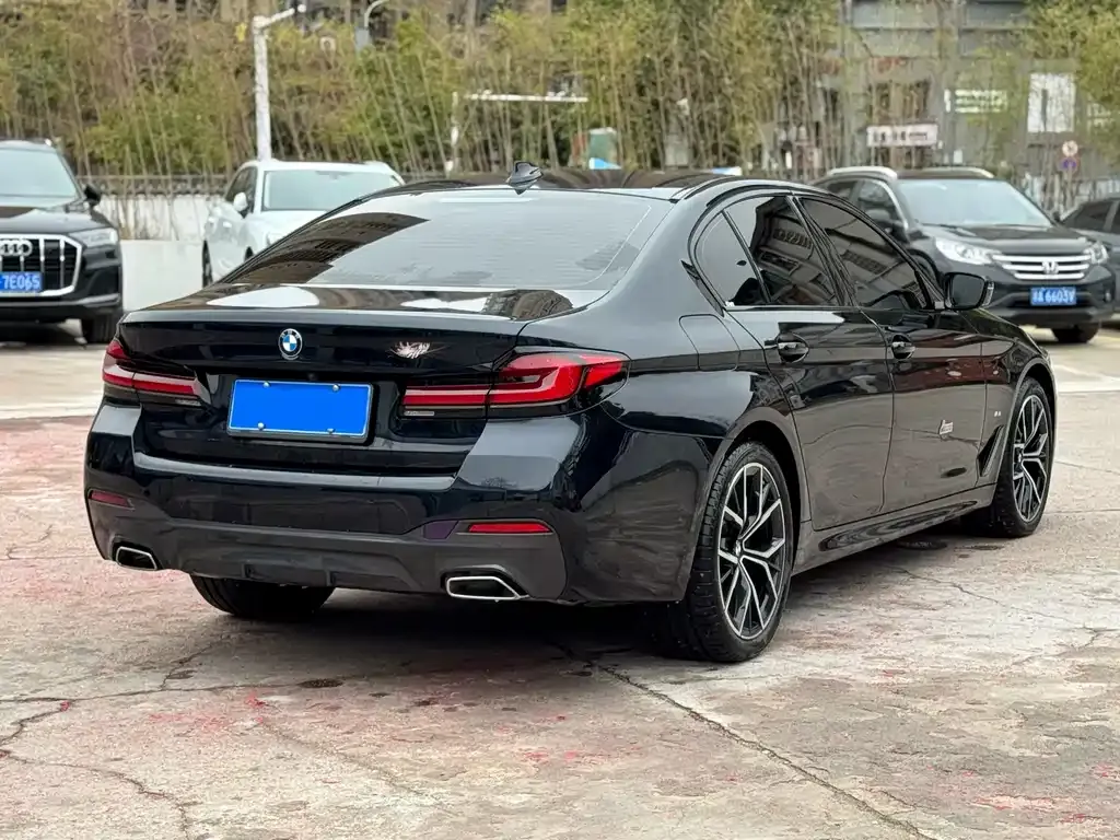 BMW 5 Series (Import) — фото 6