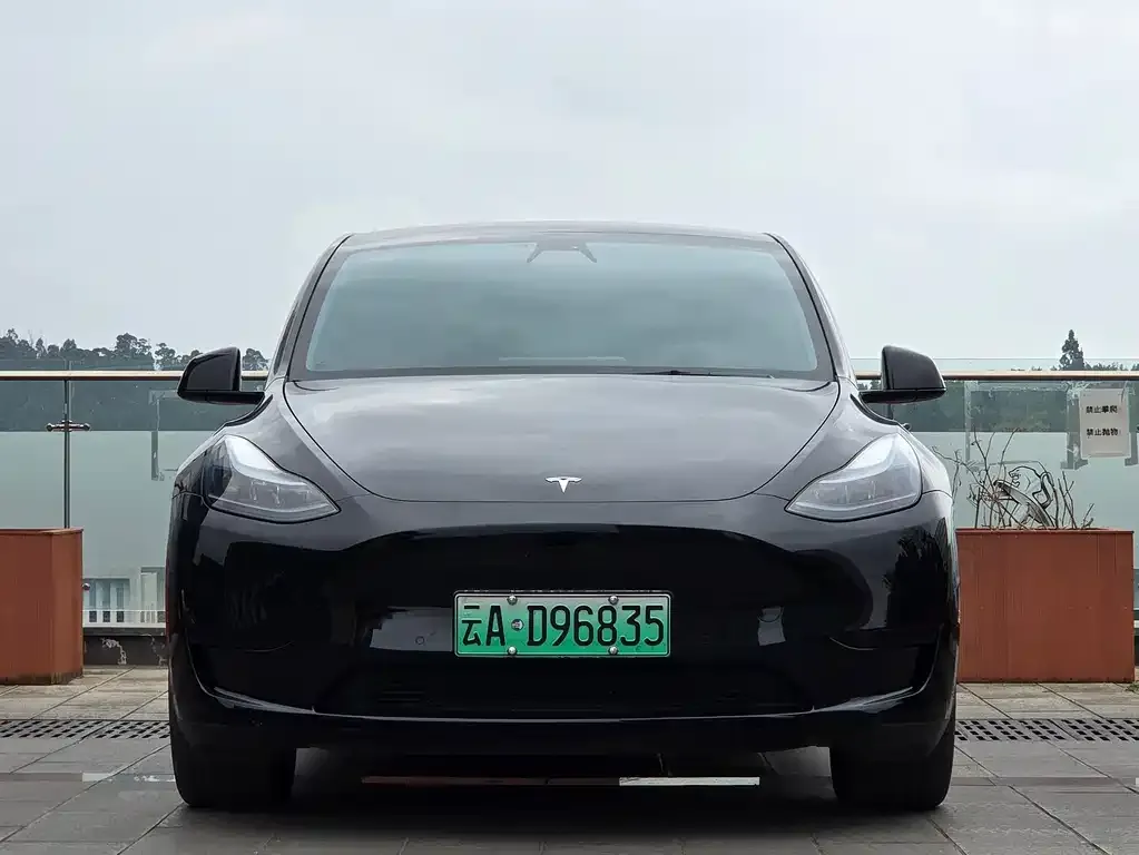 Tesla Model Y 2022 из CN, фото 2