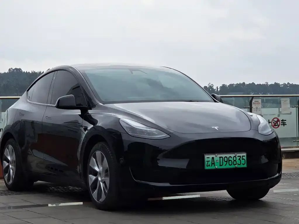 Tesla Model Y 2022 из CN, фото 9