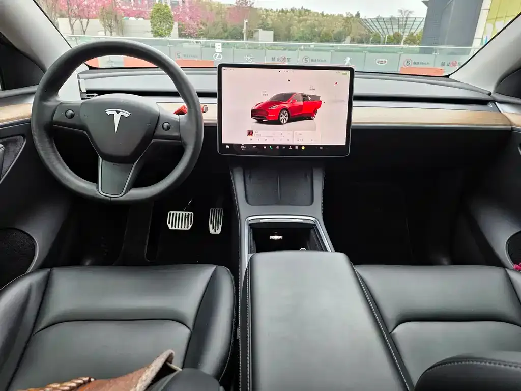 Tesla Model Y 2022 из CN, фото 6