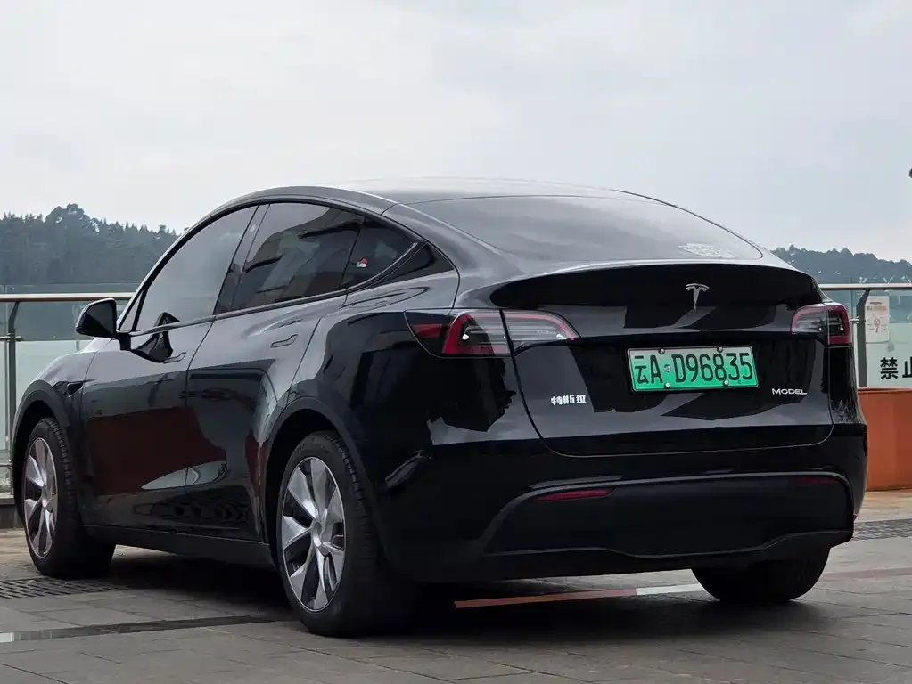 Tesla Model Y 2022 из CN, фото 7