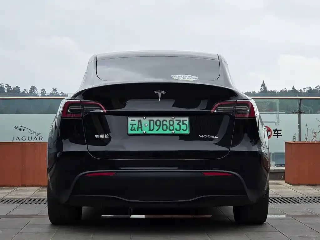 Tesla Model Y 2022 из CN, фото 3