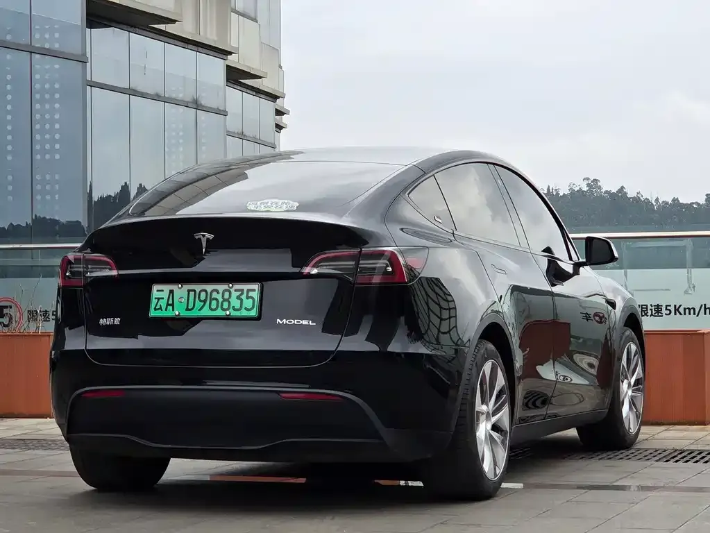 Tesla Model Y 2022 из CN, фото 10