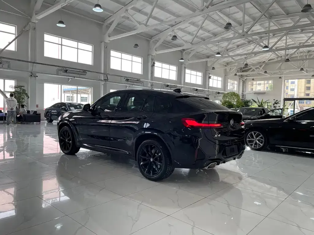 BMW X4 — фото 10