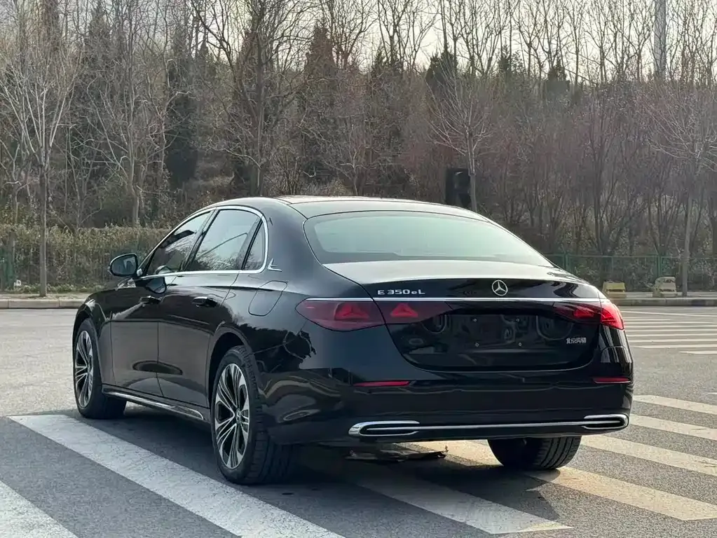 Mercedes-Benz E-Class New Energy 2024 из CN, фото 6