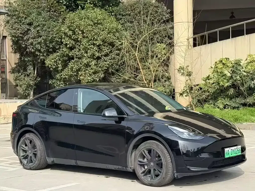 Tesla Model Y — фото 9