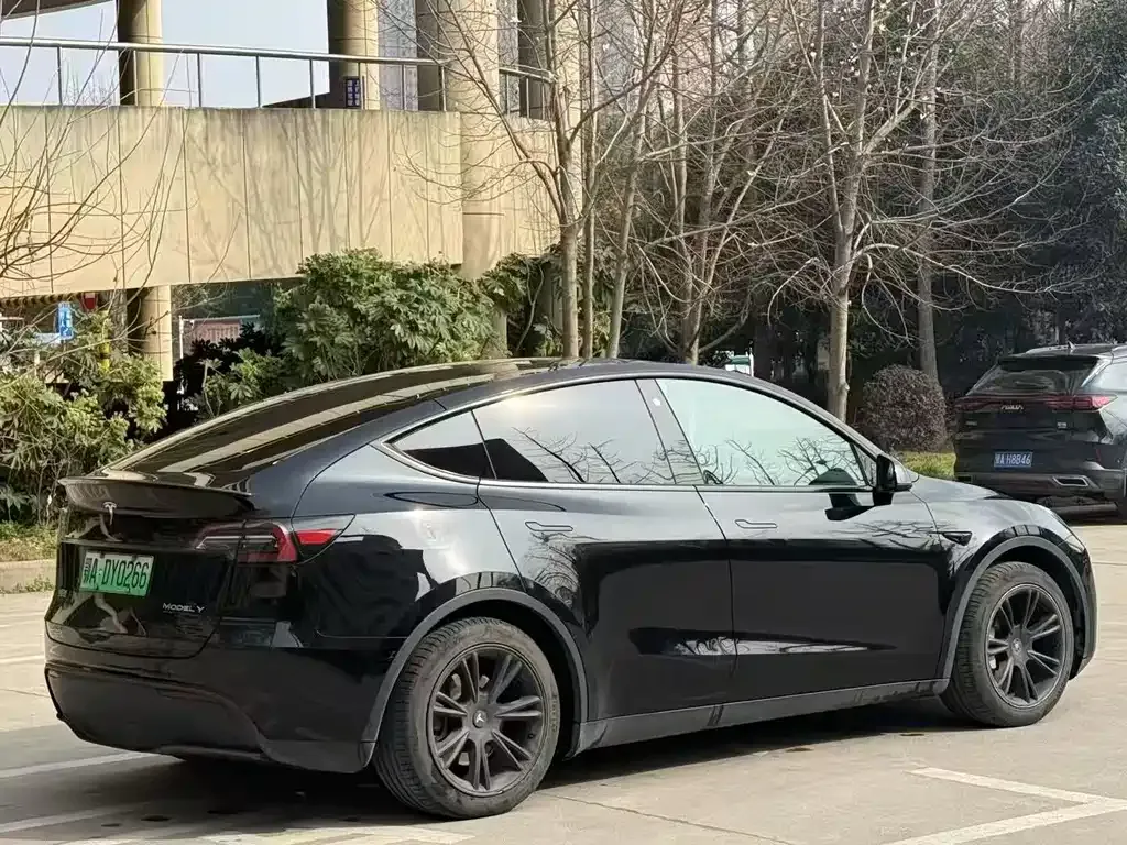 Tesla Model Y — фото 3