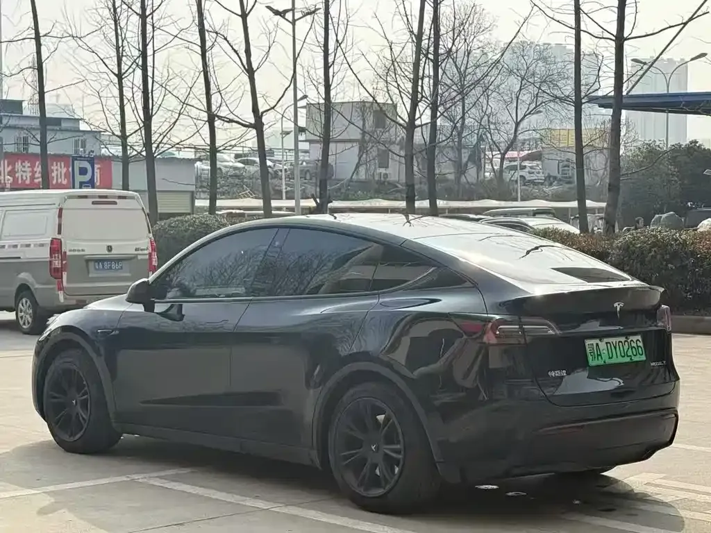 Tesla Model Y — фото 8