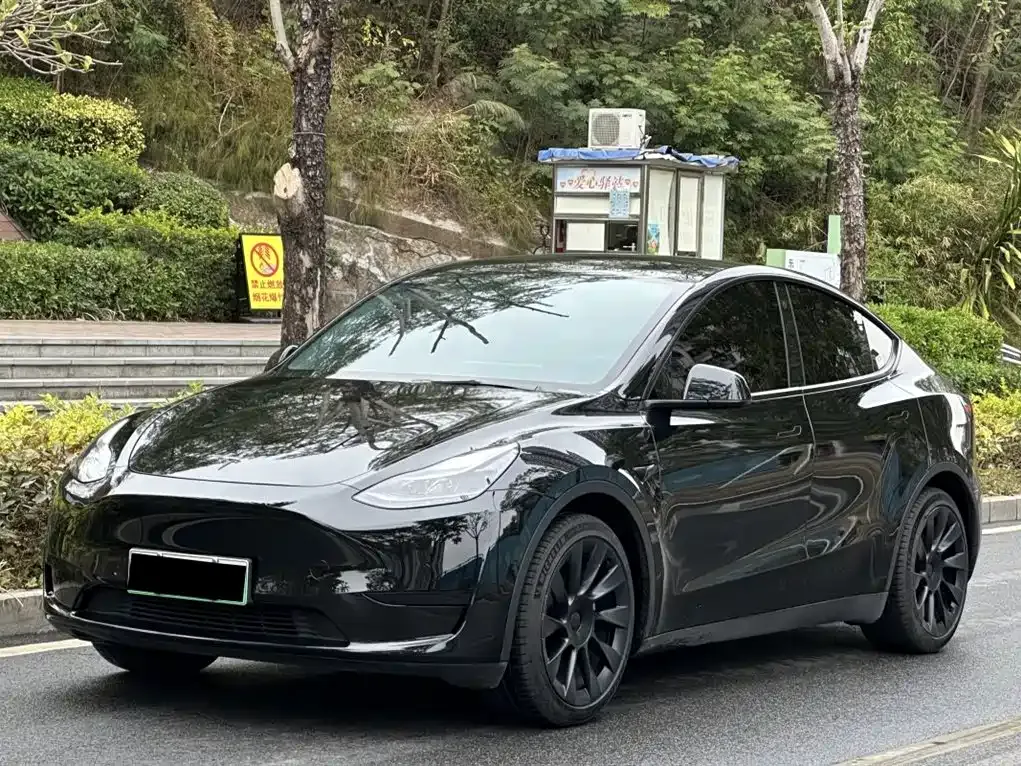 Tesla Model Y — фото 1