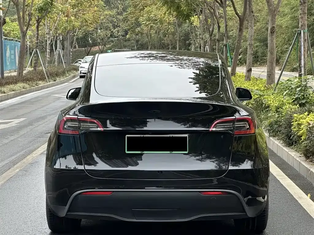 Tesla Model Y — фото 9
