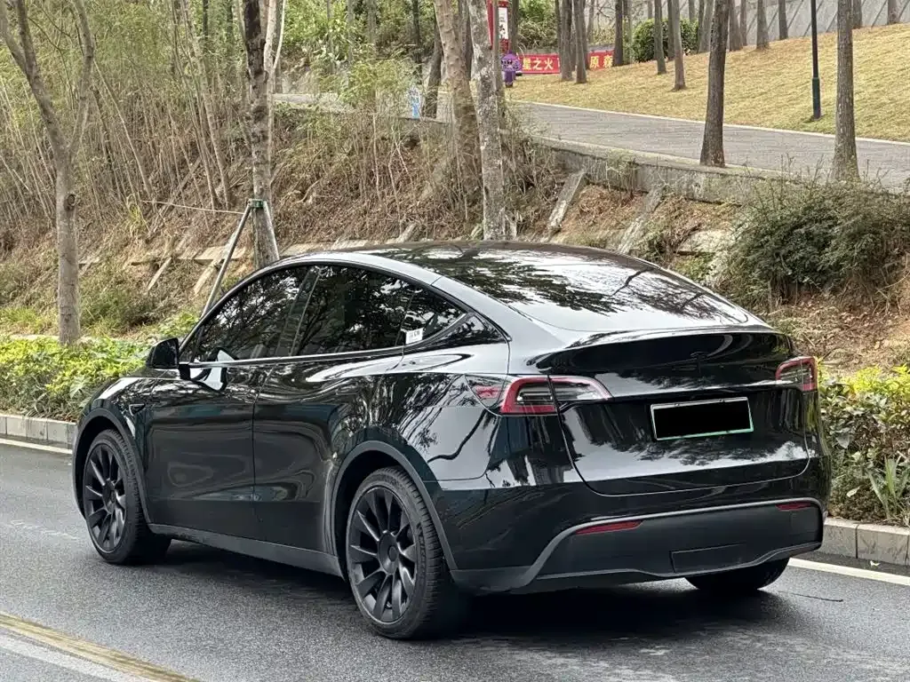 Tesla Model Y — фото 6
