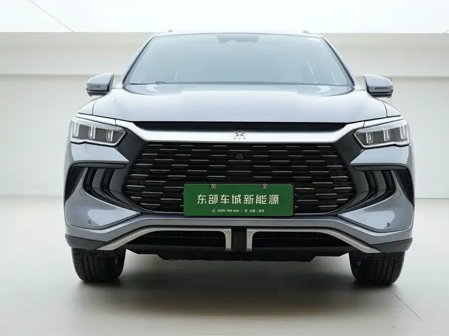 BYD Pro New Energy — фото 3