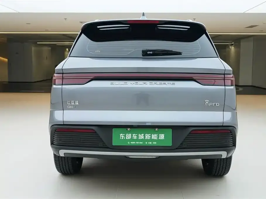 BYD Pro New Energy — фото 9