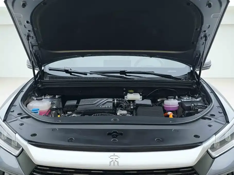 BYD Pro New Energy — фото 4