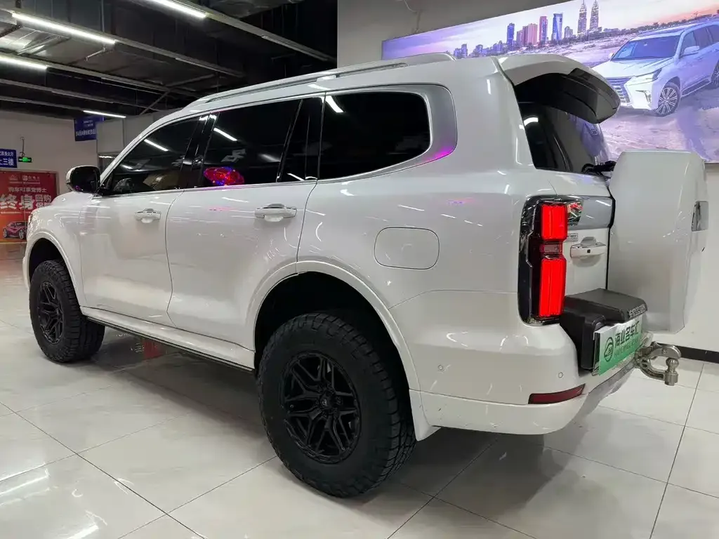 Tank 500 New Energy 2024 из CN, фото 6