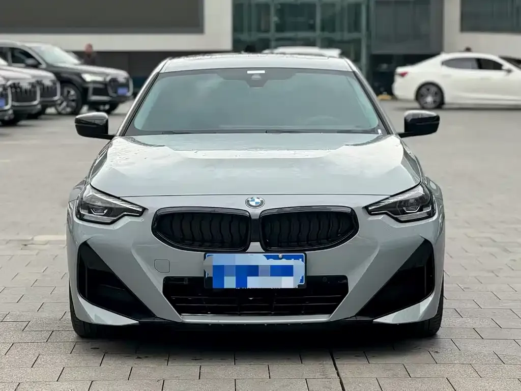 BMW 2 Series (Import) — фото 9