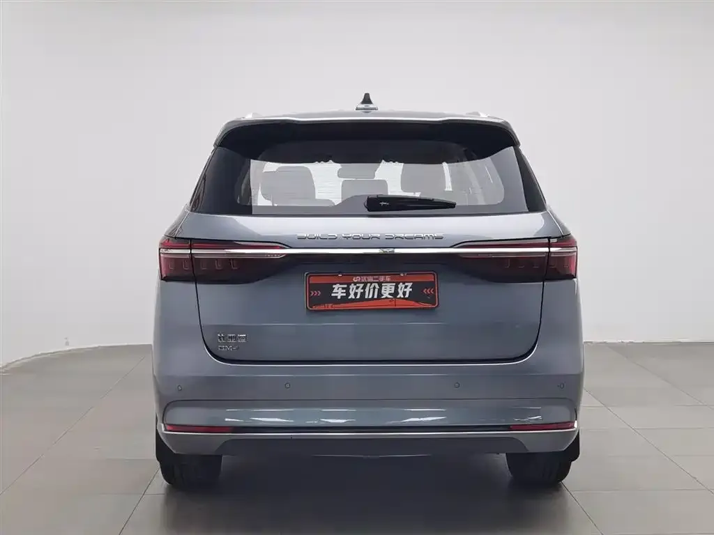 BYD MAX New Energy 2023 из CN, фото 10