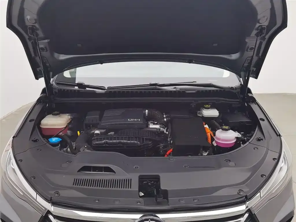 BYD MAX New Energy 2023 из CN, фото 9