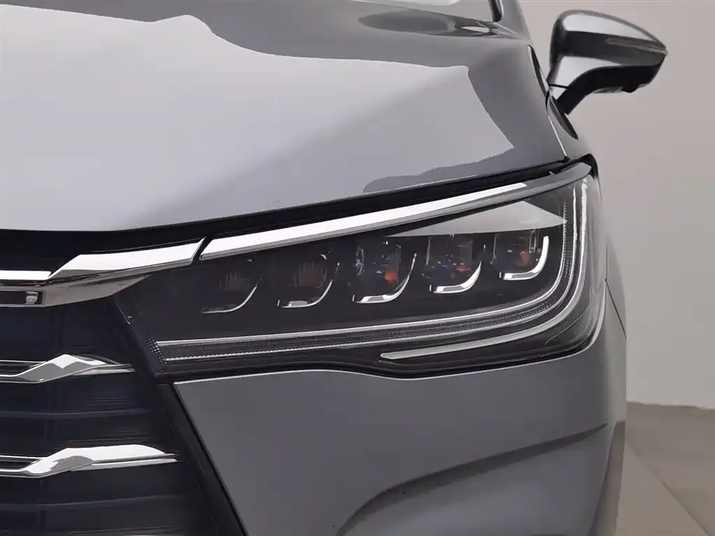 BYD MAX New Energy 2023 из CN, фото 2