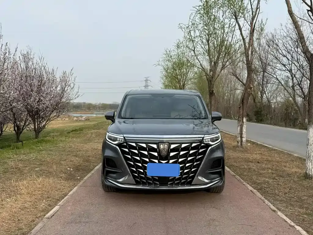 Roewe iMAX8 2024 из CN, фото 9