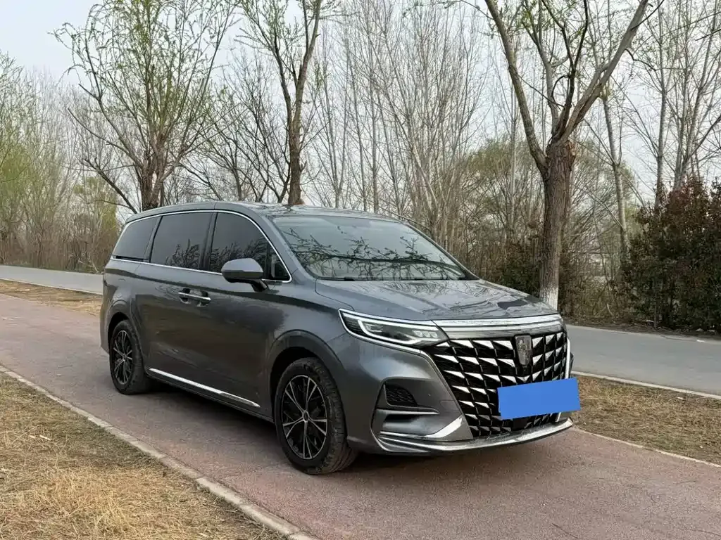 Roewe iMAX8 2024 из CN, фото 6
