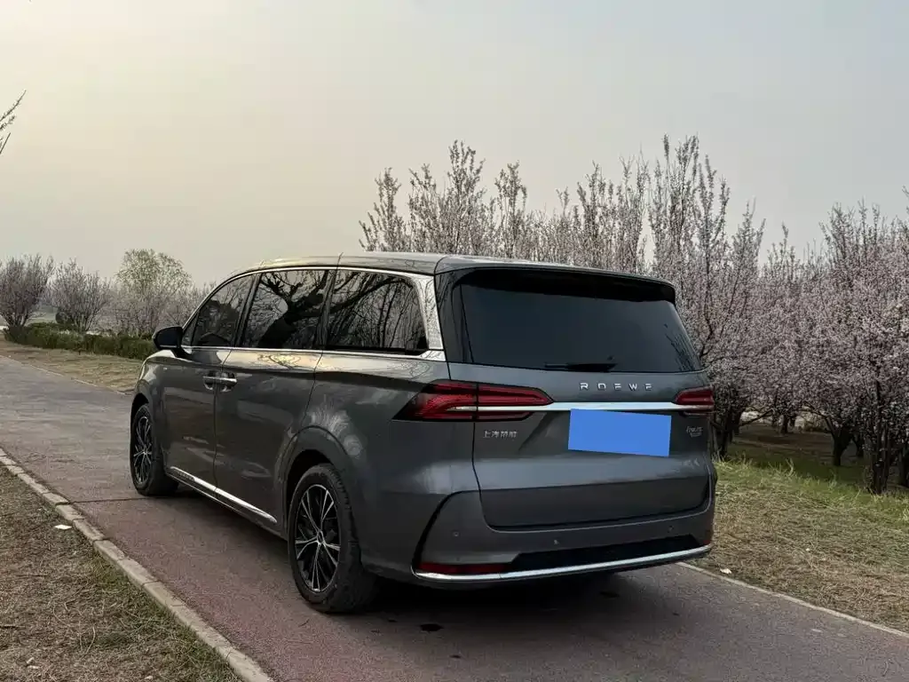 Roewe iMAX8 2024 из CN, фото 5