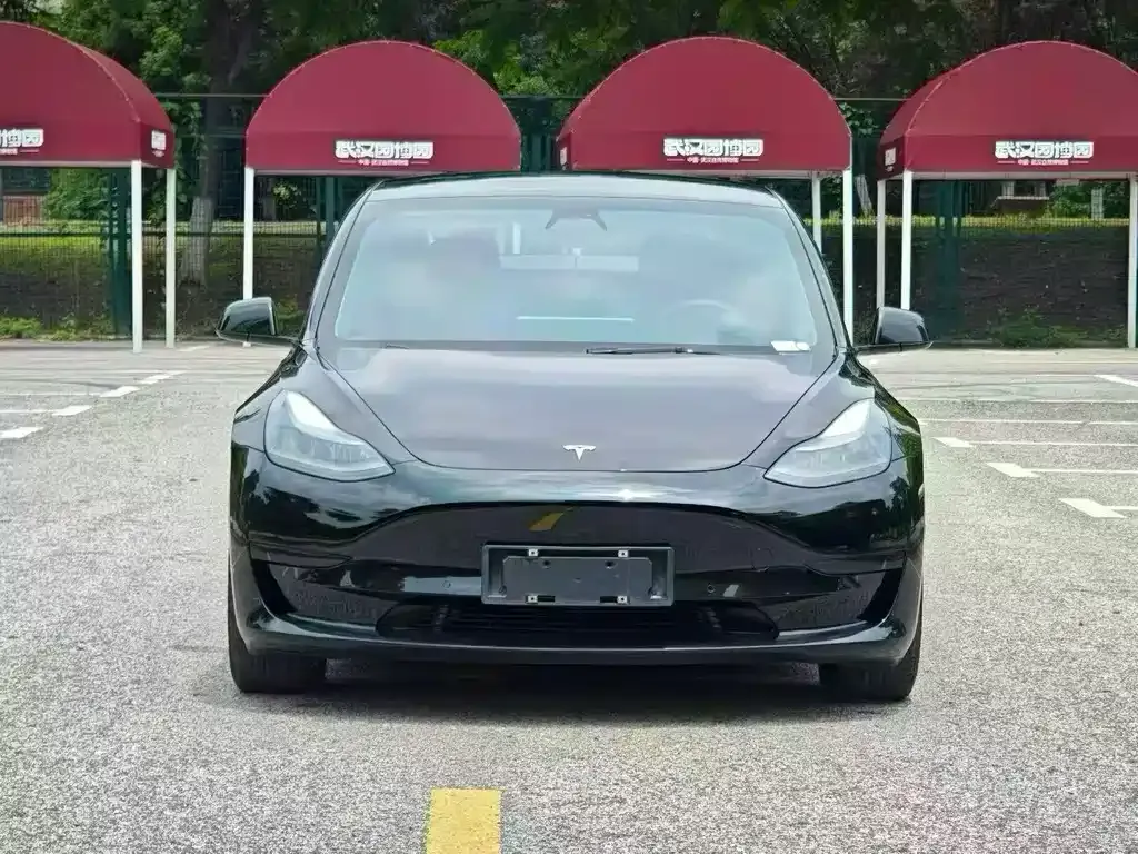Tesla Model 3 2021 из CN, фото 9