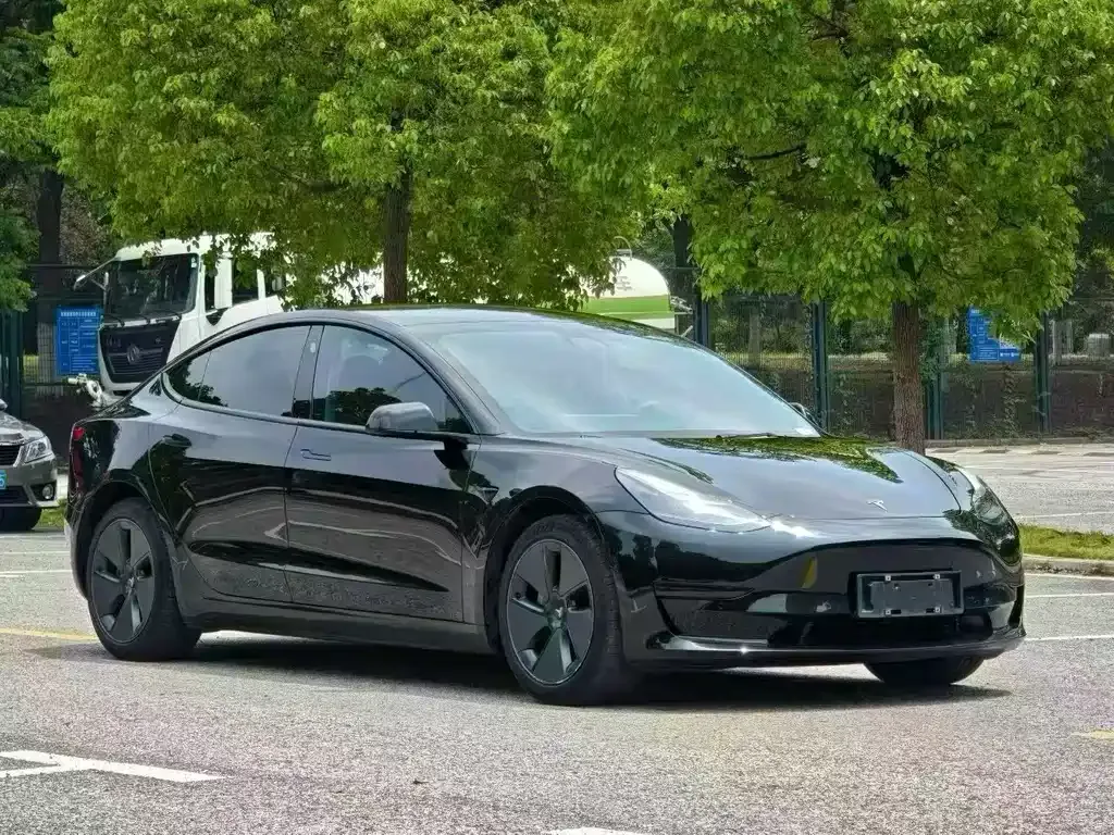 Tesla Model 3 2021 из CN, фото 3
