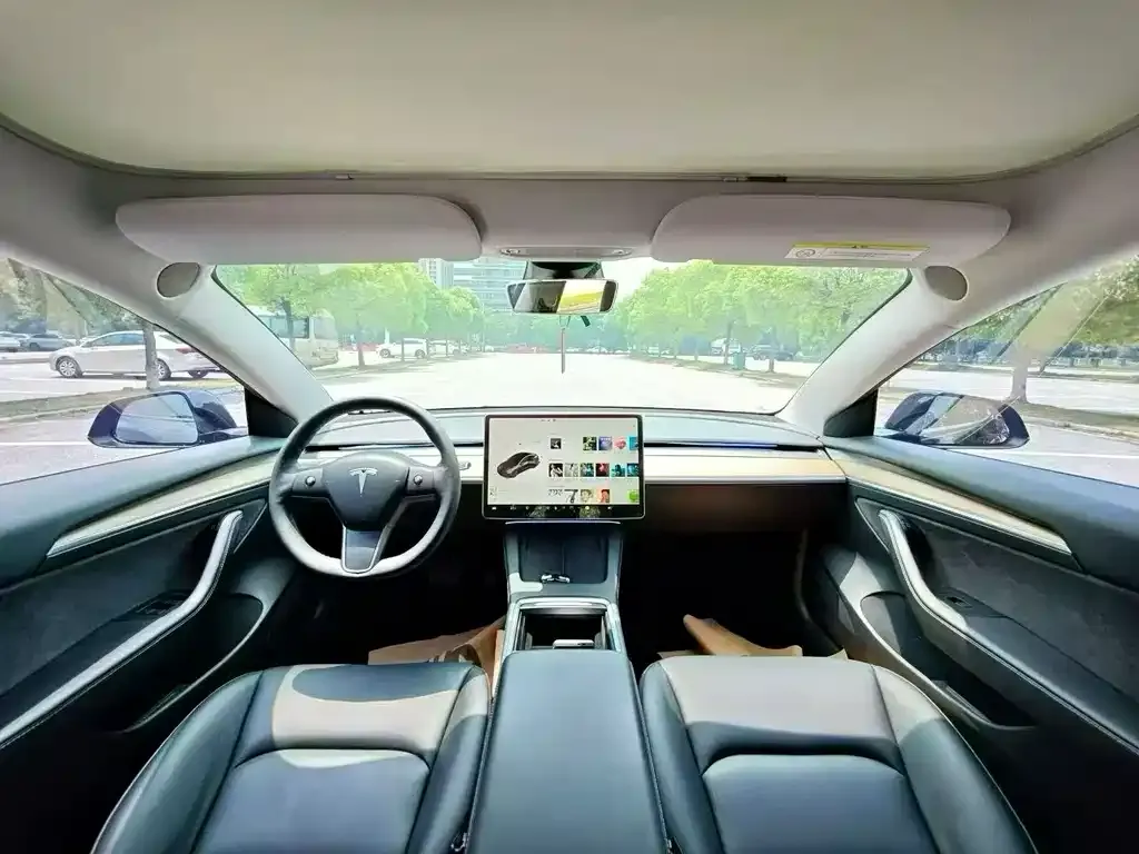 Tesla Model 3 2021 из CN, фото 5