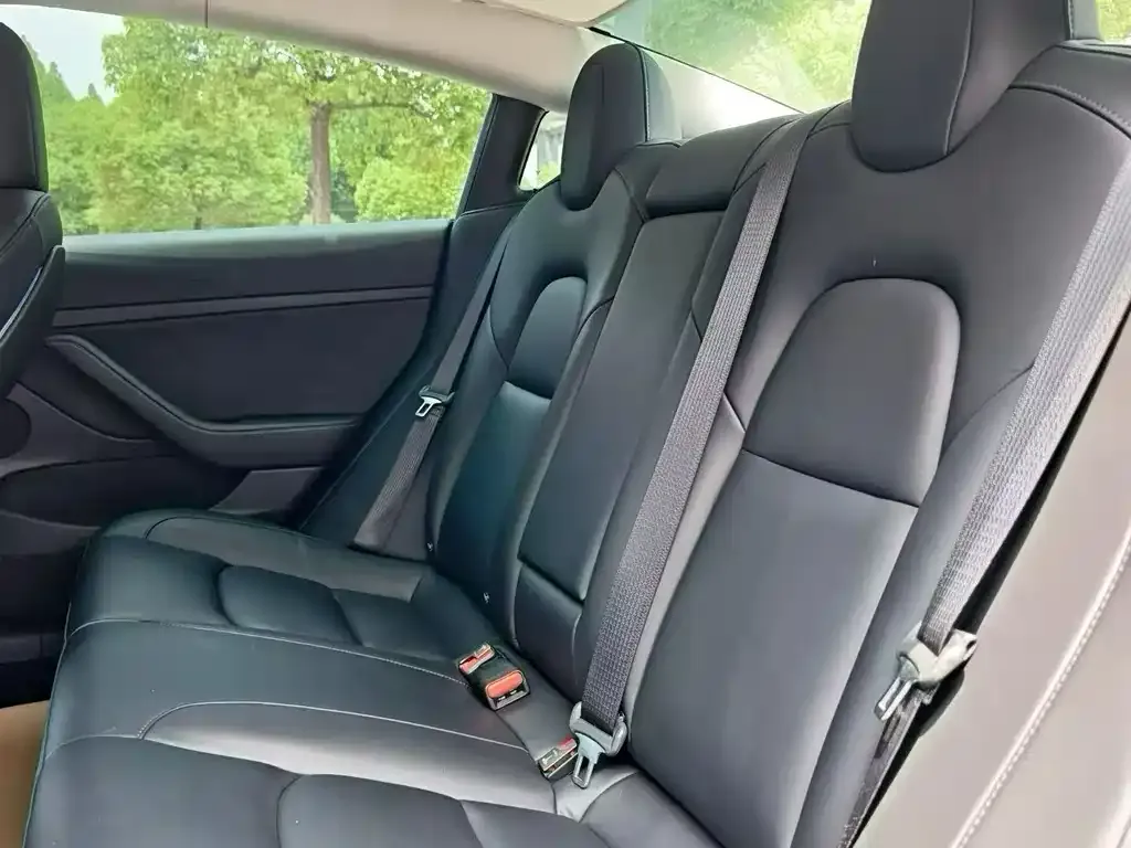 Tesla Model 3 2021 из CN, фото 4