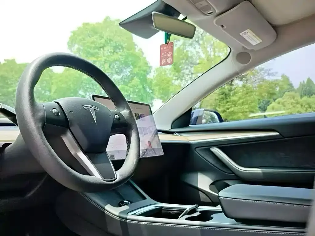 Tesla Model 3 2021 из CN, фото 2