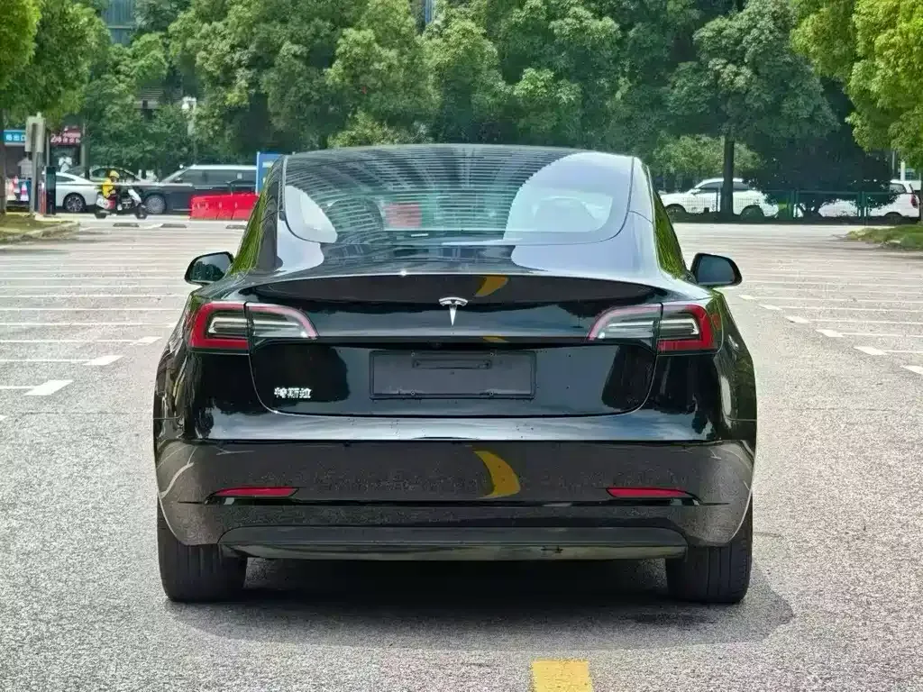 Tesla Model 3 2021 из CN, фото 8