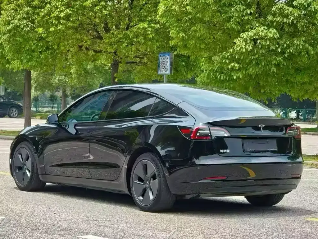 Tesla Model 3 2021 из CN, фото 6